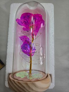 （分類：）位於 。 由 marsdenlai 提交（商品編號 1351492869，圖片 1）。簡介： 。