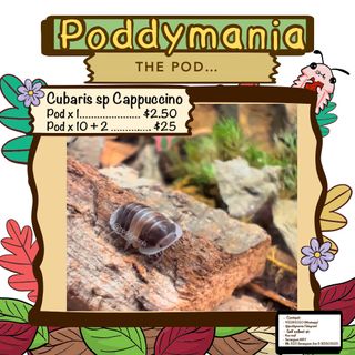 (Category: ) located in . Submitted by poddymania (Listing ID 1351487824, Image 1). Description: .