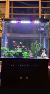 (Category: ) located in . Submitted by sky00112 (Listing ID 1351415072, Image 1). Description: .