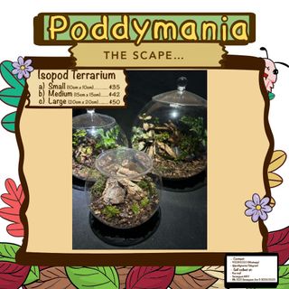 (Category: ) located in . Submitted by poddymania (Listing ID 1351764732, Image 1). Description: .
