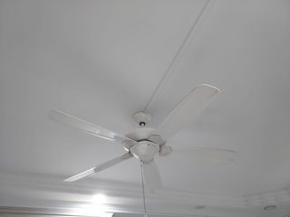 (Category: ) located in . Submitted by idealstuff (Listing ID 1351723014, Image 1). Description: .