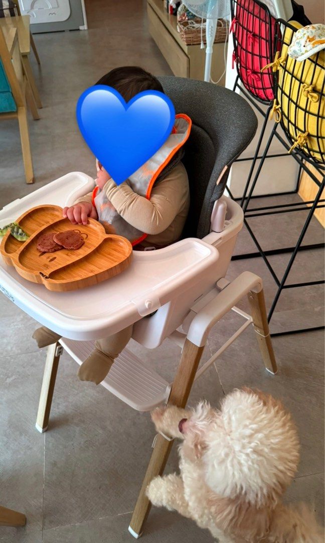 Tutti Bambini Nova High Chair (Category: Baby High Chairs) located in Angeles City. Submitted by danicaeloise (Listing ID 1351624466, Image 1). Description: Tutti Bambini Nova Evolutionary High Chair Convertible w/ 7 modes From newborn up to toddler age With box Location: Pampanga .