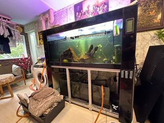 (Category: ) located in . Submitted by nitrogrouppteltd (Listing ID 1351952259, Image 1). Description: .