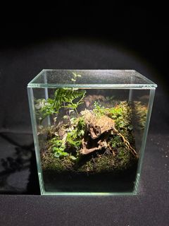 (Category: ) located in . Submitted by poddymania (Listing ID 1351788760, Image 1). Description: .