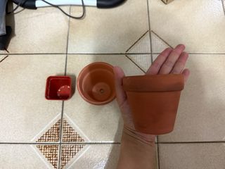 (Category: ) located in . Submitted by luckysmile26 (Listing ID 1351899430, Image 1). Description: .