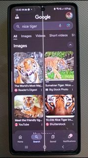 (Category: ) located in . Submitted by aprilfool848 (Listing ID 1351859357, Image 1). Description: .