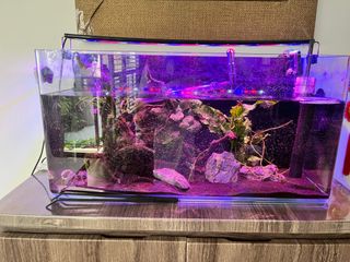 (Category: ) located in . Submitted by mxfuty (Listing ID 1351972869, Image 1). Description: .