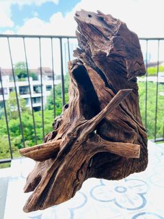 (Category: ) located in . Submitted by yellowmagic (Listing ID 1351998599, Image 1). Description: .