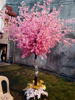 sakura tree - View all sakura tree ads in Carousell Philippines