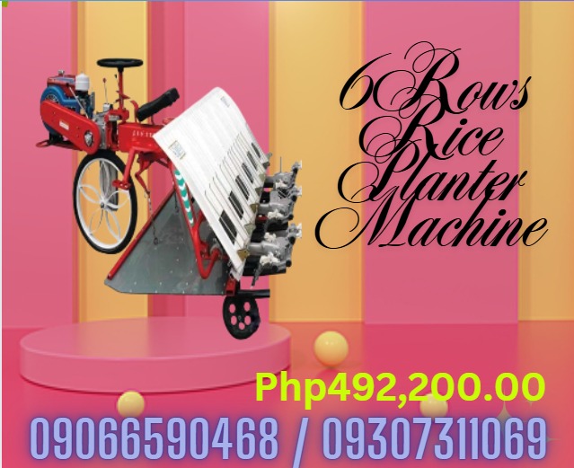 6 Rows ride-on Rice Planter Machine, Everything Else, Looking For on ...