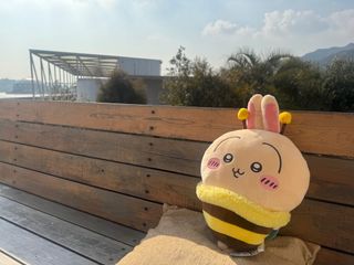 （分類：）位於 。 由 supotsunoya 提交（商品編號 1355657426，圖片 1）。簡介： 。