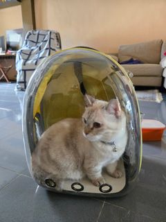 (Category: ) located in . Submitted by m.agnes.ium (Listing ID 1355679753, Image 1). Description: .
