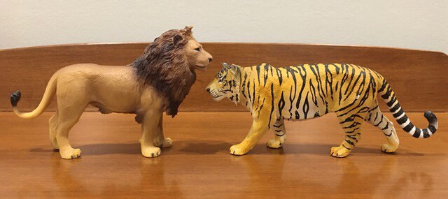 (Category: ) located in . Submitted by animalhunters (Listing ID 1355725238, Image 1). Description: .