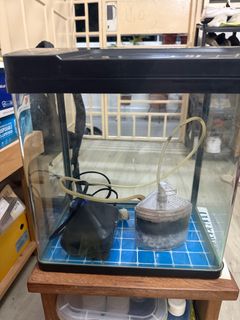 (Category: ) located in . Submitted by sgvulcan (Listing ID 1355796992, Image 1). Description: .
