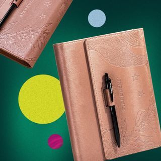 Original Starbucks 2024 Rose Gold Planner