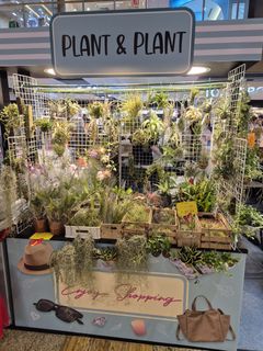 (Category: ) located in . Submitted by plantandplant (Listing ID 1357421762, Image 1). Description: .