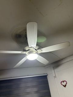 (Category: ) located in . Submitted by roky.abdul (Listing ID 1357411050, Image 1). Description: .