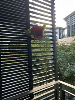 (Category: ) located in . Submitted by cirenney (Listing ID 1357504428, Image 1). Description: .