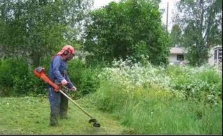 (Category: ) located in . Submitted by lawnspecialist (Listing ID 1357562509, Image 1). Description: .