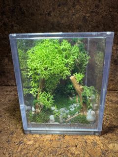 (Category: ) located in . Submitted by david2438 (Listing ID 1356405603, Image 1). Description: .