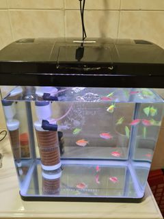 (Category: ) located in . Submitted by ken5156 (Listing ID 1357623468, Image 1). Description: .