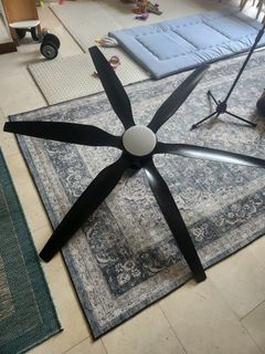 (Category: ) located in . Submitted by sherro74 (Listing ID 1357625648, Image 1). Description: .