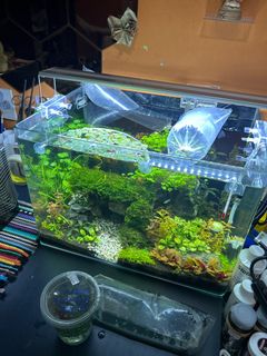 (Category: ) located in . Submitted by sure_no_prob (Listing ID 1357908684, Image 1). Description: .