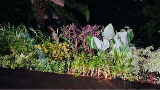 (Category: ) located in . Submitted by greenamuletslandscape (Listing ID 1357954074, Image 1). Description: .