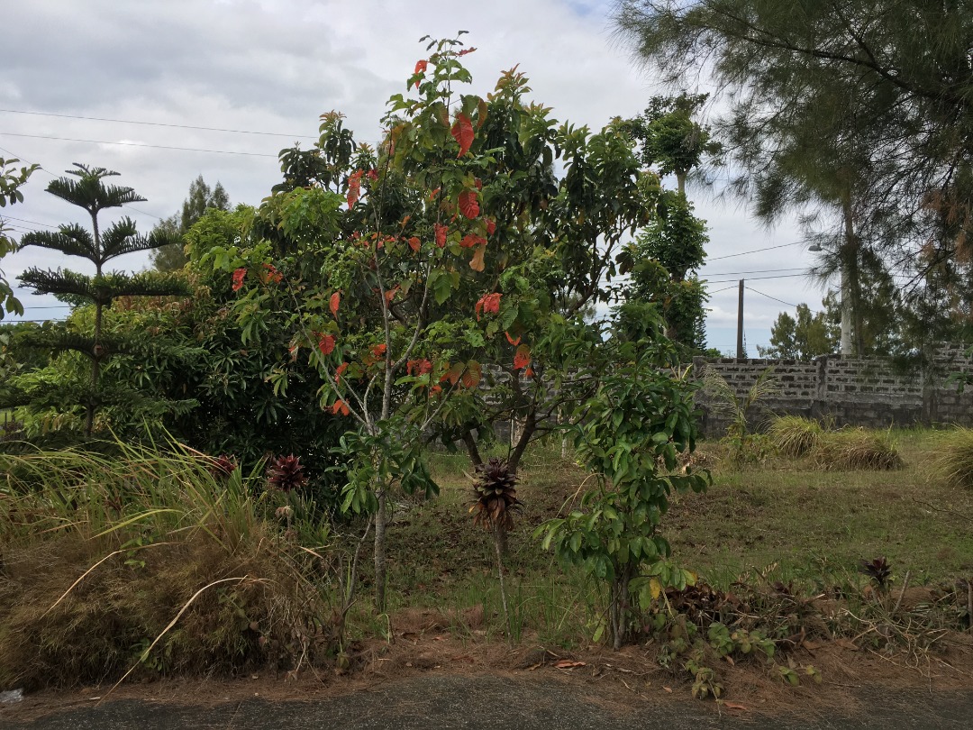 (Category: ) located in . Submitted by gigi.gigi2 (Listing ID 1357802945, Image 1). Description: .