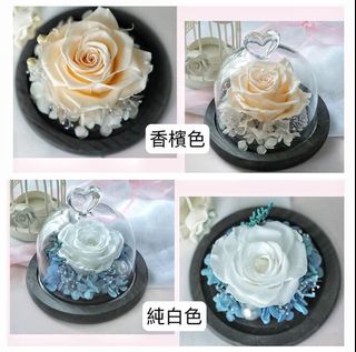 （分類：）位於 。 由 leung.l 提交（商品編號 1358140866，圖片 1）。簡介： 。