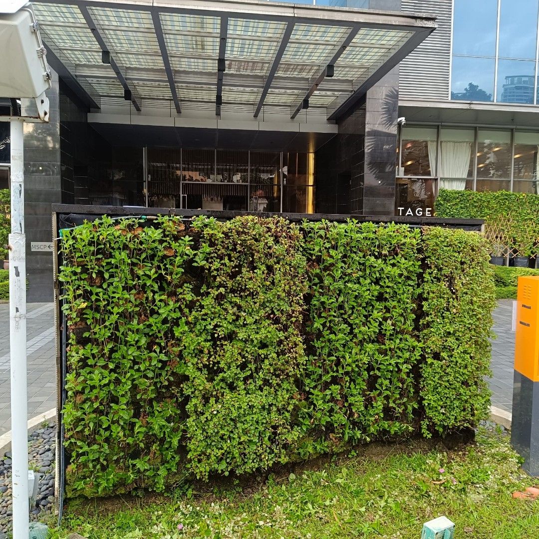 Gardening professional WP 9688132964884979872131111