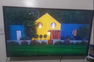LG 43” basic TV