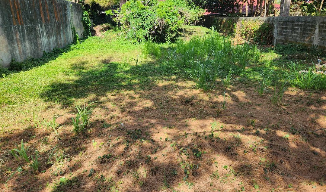(Category: ) located in . Submitted by accreditedprcsalesperson.tony (Listing ID 1324611259, Image 1). Description: .
