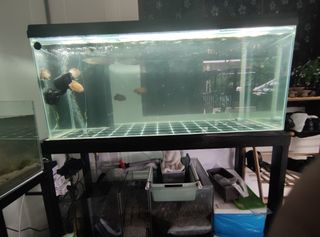 (Category: ) located in . Submitted by afiqcr (Listing ID 1358185252, Image 1). Description: .