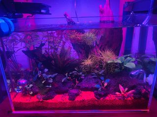 (Category: ) located in . Submitted by fariq_adam (Listing ID 1358333077, Image 1). Description: .