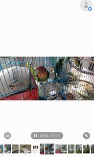 (Category: ) located in . Submitted by world_of_friends (Listing ID 1358163583, Image 1). Description: .