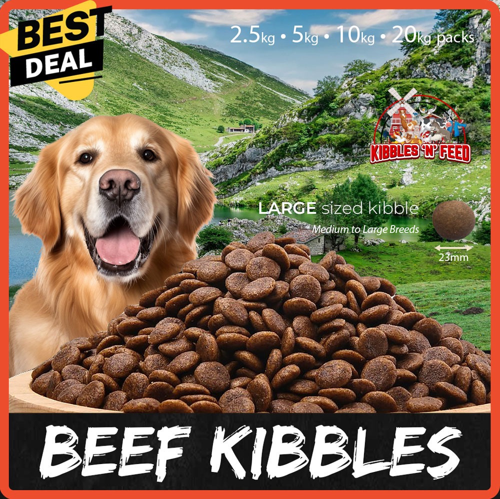 DOG KIBBLES BEEF LARGE KIBBLE SIZE FOR MEDIUM - LARGE DOGS, Pet ...
