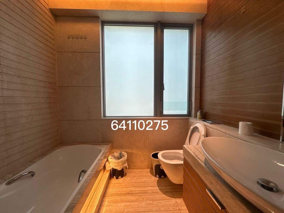 超級豪宅 葡萄園 新鴻基董事屋 即約即睇 6411028563438961266562114