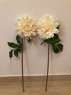 （分類：）位於 。 由 woposta 提交（商品編號 1358430941，圖片 1）。簡介： 。