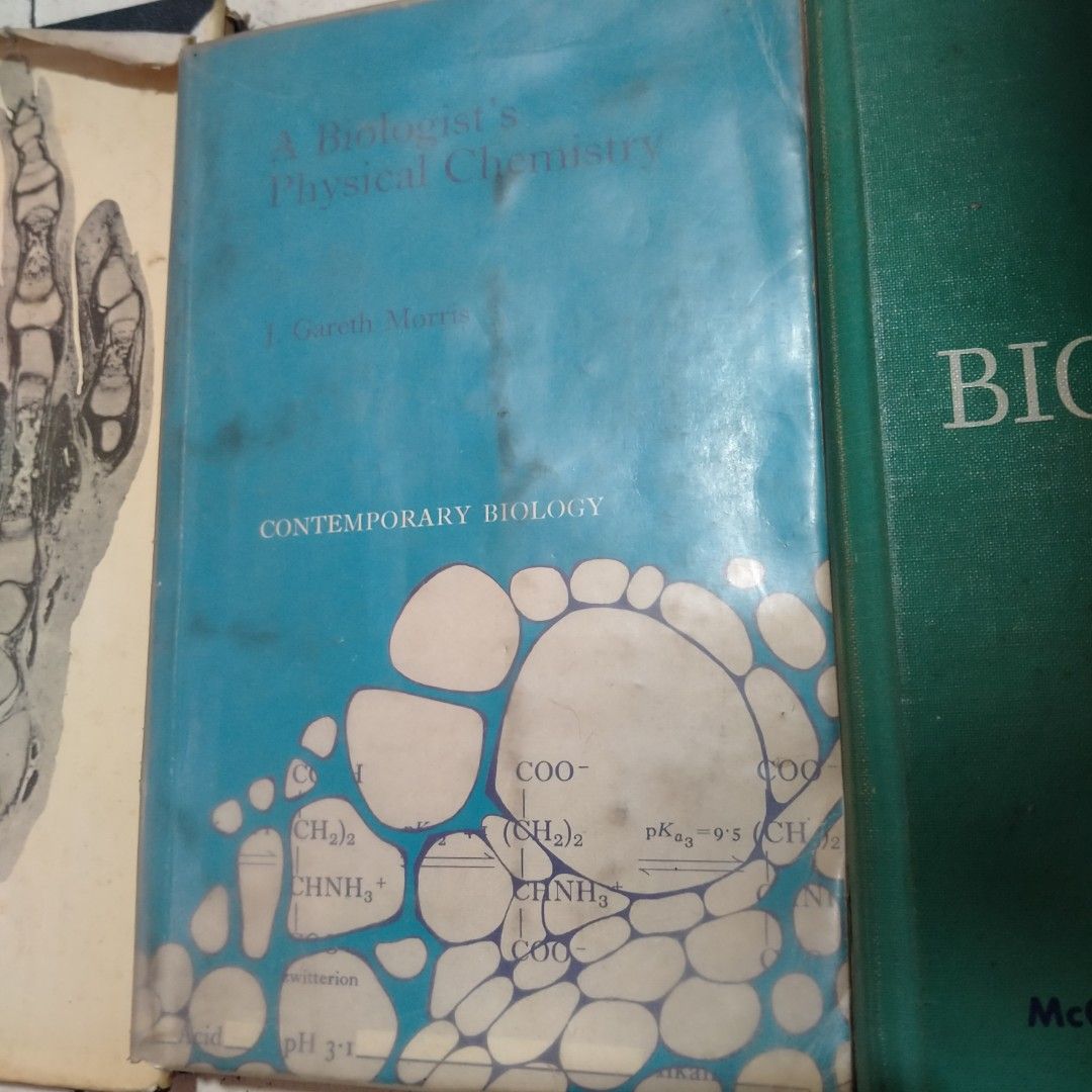 Science-related College Textbooks (Category: Textbooks) located in Quezon City. Submitted by random_hobbyist (Listing ID 1358359475, Image 2). Description: RFS decluttering Atlas of Histology Biologist Physical Chemistry Biochemistry: a functional approach.