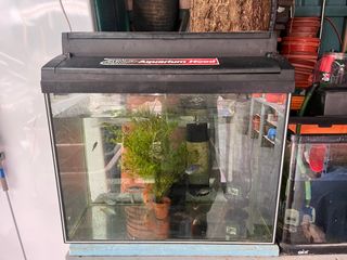 (Category: ) located in . Submitted by dotsz (Listing ID 1358461425, Image 1). Description: .