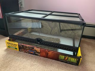 (Category: ) located in . Submitted by scoobakeong (Listing ID 1358360784, Image 1). Description: .