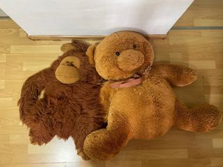 (Category: ) located in . Submitted by klewis (Listing ID 1358451476, Image 1). Description: .