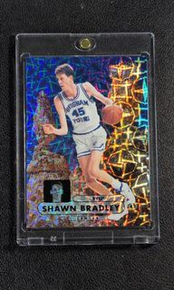 2012 Fleer Retro Precious Metal Gems  Shawn Bradley