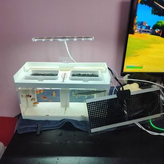 (Category: ) located in . Submitted by chiamrae (Listing ID 1358578761, Image 1). Description: .