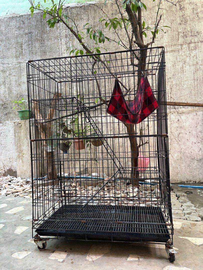 For sale Pet cat cage (Category: Homes & Other Pet Accessories) located in Taguig. Submitted by athena1014 (Listing ID 1358592064, Image 2). Description: 3 layer cat cage, foldable, with wheels. heavy duty and bought jn cartimar last 2024 for php4k..