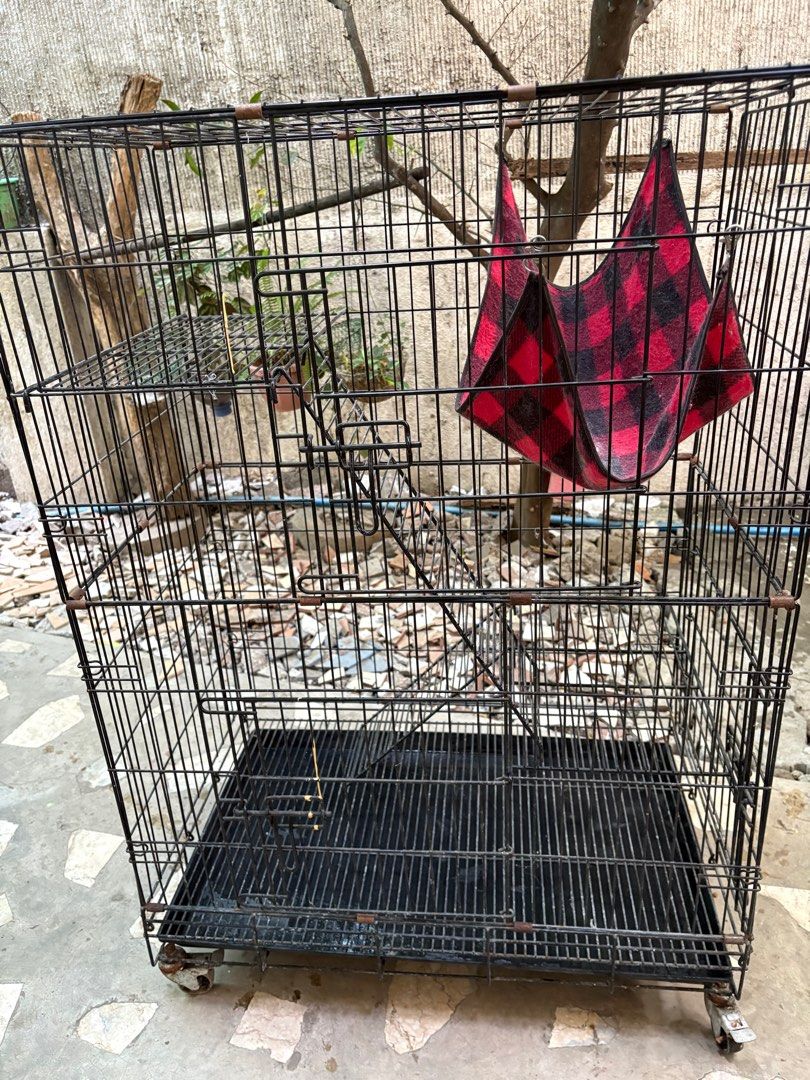 For sale Pet cat cage (Category: Homes & Other Pet Accessories) located in Taguig. Submitted by athena1014 (Listing ID 1358592064, Image 1). Description: 3 layer cat cage, foldable, with wheels. heavy duty and bought jn cartimar last 2024 for php4k..