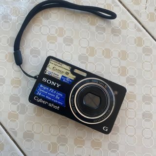 Sony Cybershot Dsc Wx1 Digicam