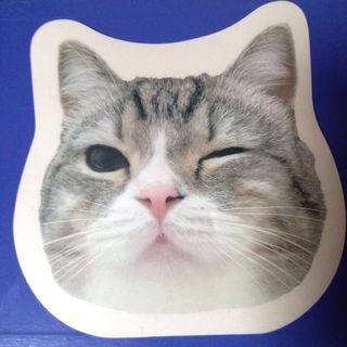 貓滑鼠墊 cat mouse pad63004385643267110