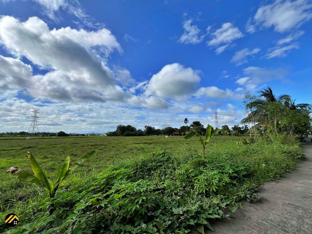 For Sale: Agricultural Lot in Pagsanjan, Calusiche, Laguna, featuring ...